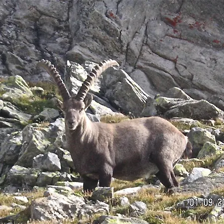 Apartment Mit Schoener Sicht Auf Bergpanorama Und Uebers Tal *