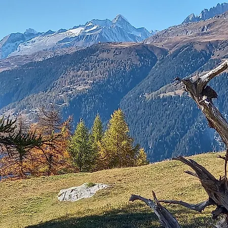 Apartment Mit Schoener Sicht Auf Bergpanorama Und Uebers Tal Ernen