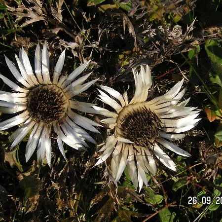 公寓 Mit Schoener Sicht Auf Bergpanorama Und Uebers Tal