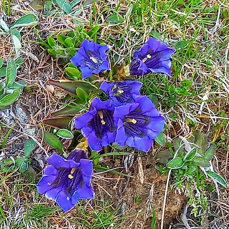Mit Schoener Sicht Auf Bergpanorama Und Uebers Tal Apartment *