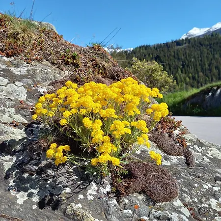 Mit Schoener Sicht Auf Bergpanorama Und Uebers Tal Apartment