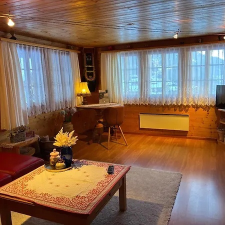 Mit Schöner Sicht Auf Bergpanorama Und übers Tal Apartamento Ernen