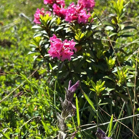 Apartment Mit Schoener Sicht Auf Bergpanorama Und Uebers Tal