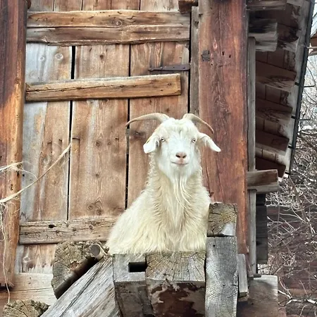 公寓 Mit Schoener Sicht Auf Bergpanorama Und Uebers Tal Ernen