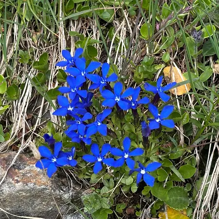 Mit Schöner Sicht Auf Bergpanorama Und übers Tal *