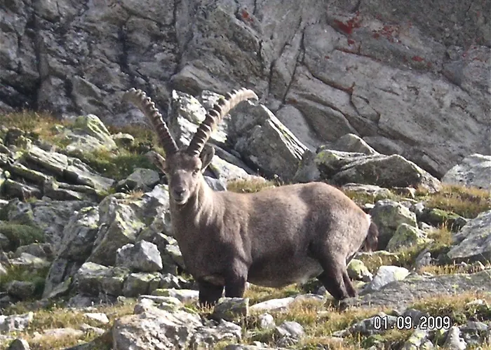 Apartamento Mit Schoener Sicht Auf Bergpanorama Und Uebers Tal *