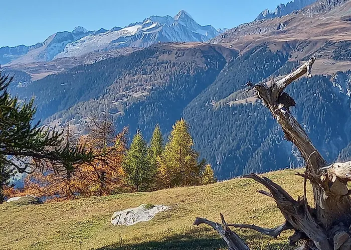 Apartamento Mit Schoener Sicht Auf Bergpanorama Und Uebers Tal Ernen