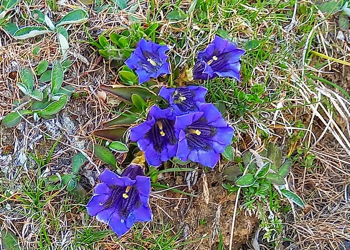 Mit Schoener Sicht Auf Bergpanorama Und Uebers Tal Apartamento *