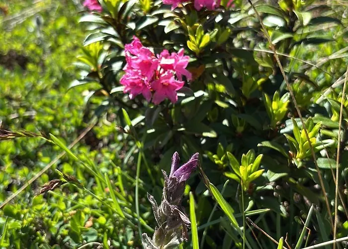 Apartamento Mit Schoener Sicht Auf Bergpanorama Und Uebers Tal