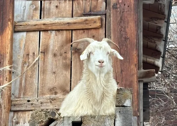 Apartamento Mit Schoener Sicht Auf Bergpanorama Und Uebers Tal Ernen