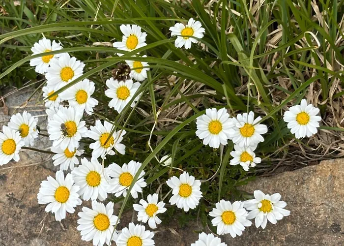 Mit Schoener Sicht Auf Bergpanorama Und Uebers Tal Apartamento