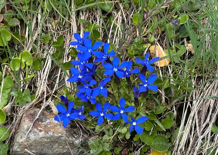 Mit Schoener Sicht Auf Bergpanorama Und Uebers Tal *