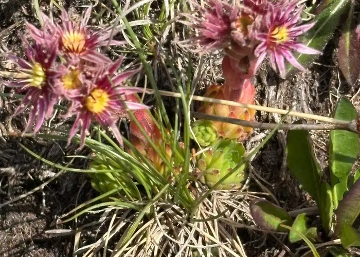 Mit Schoener Sicht Auf Bergpanorama Und Uebers Tal Ernen